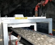 GEOSCAN GOLD (Image 3)